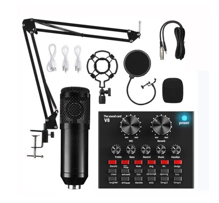 V8 Sound Card Set Professional Audio Condenser Mic Studio Singing Microphone