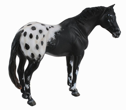 CollectA 88437 Black Blanket Appaloosa Stallion Horse Model Toy Figurine - NIP