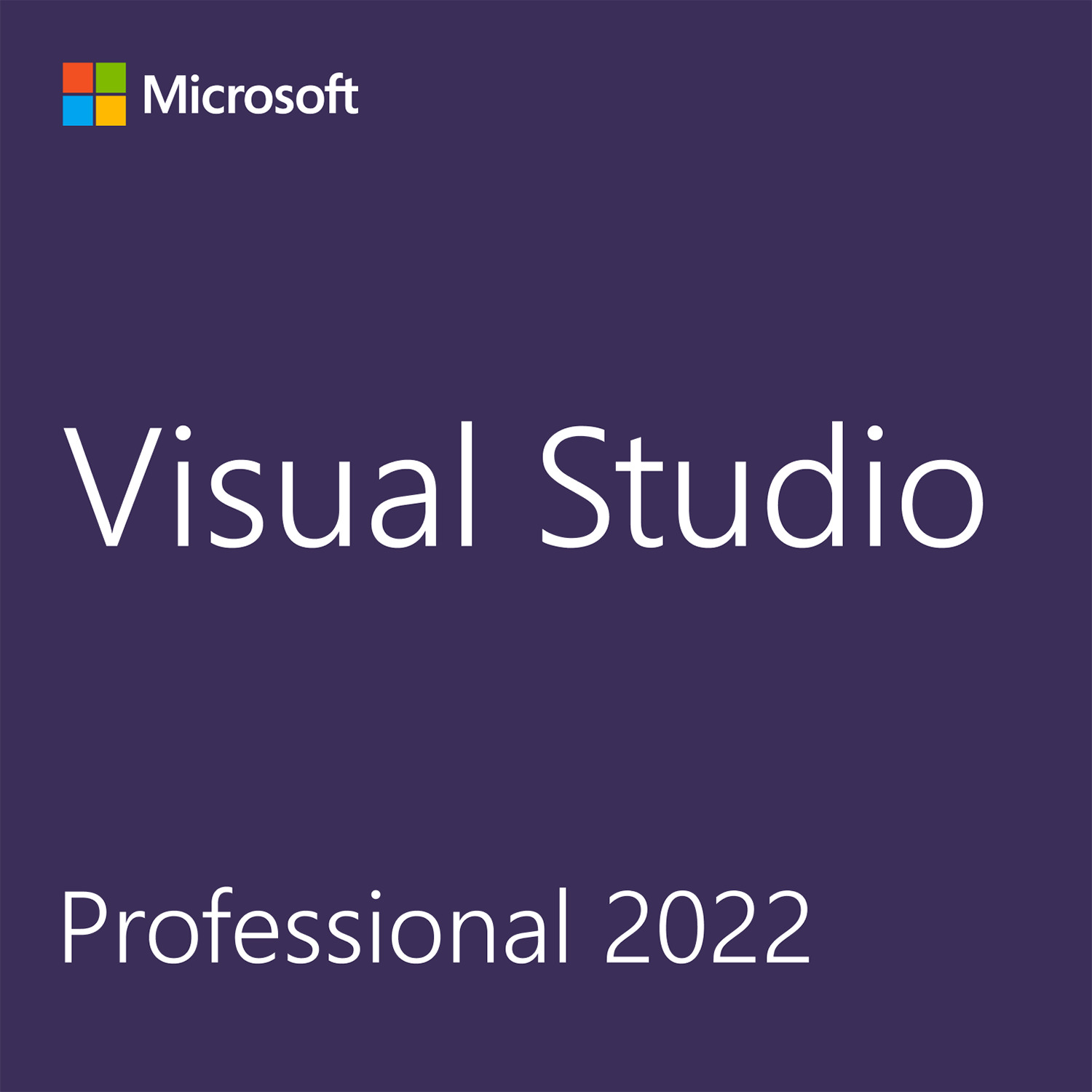 Microsoft Visual Studio 2022 Professional Edition