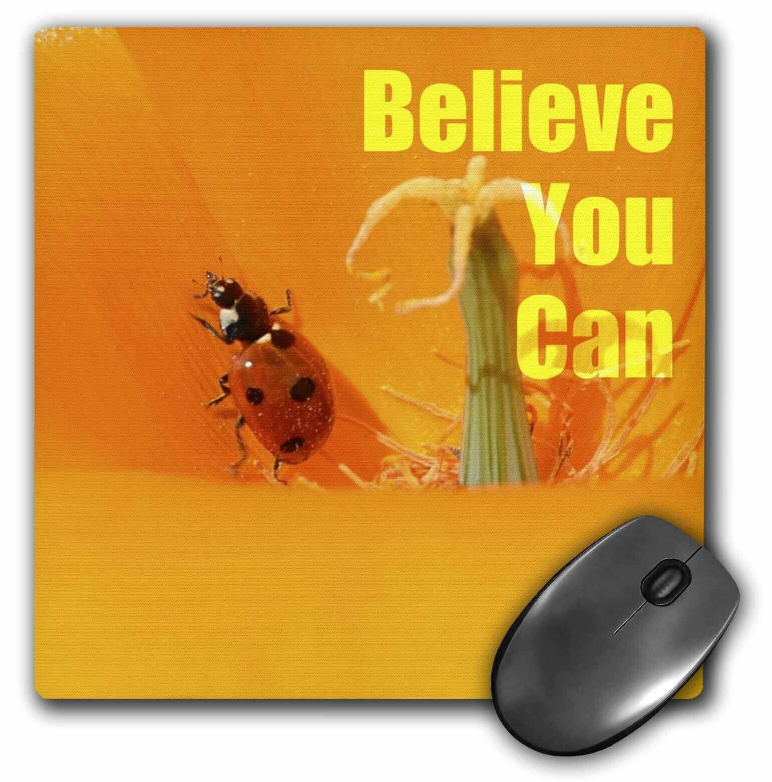3dRose LLC 8 x 8 x 0.25 Inches Believe You Can Ladybug and Poppy Inspirationa...
