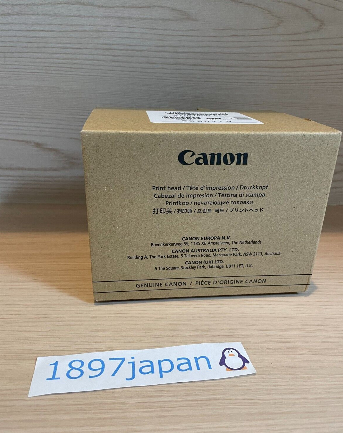 Canon Print Head PF-10  0861C001 JAPAN  New