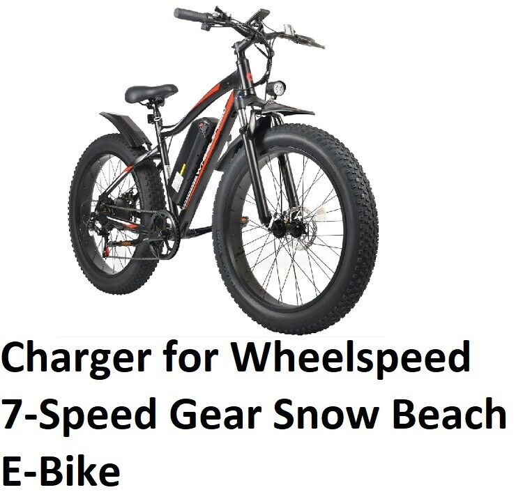🔥power supply battery Charger for Wheelspeed 7-Speed Gear Snow Beach E-Bike