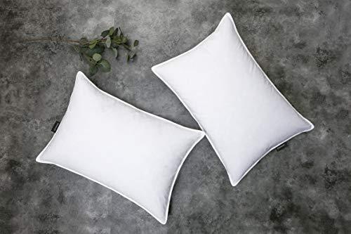 SNUG&COZY Grey Goose Feather Down Pillow for Sleeping(2 Pack)- Queen