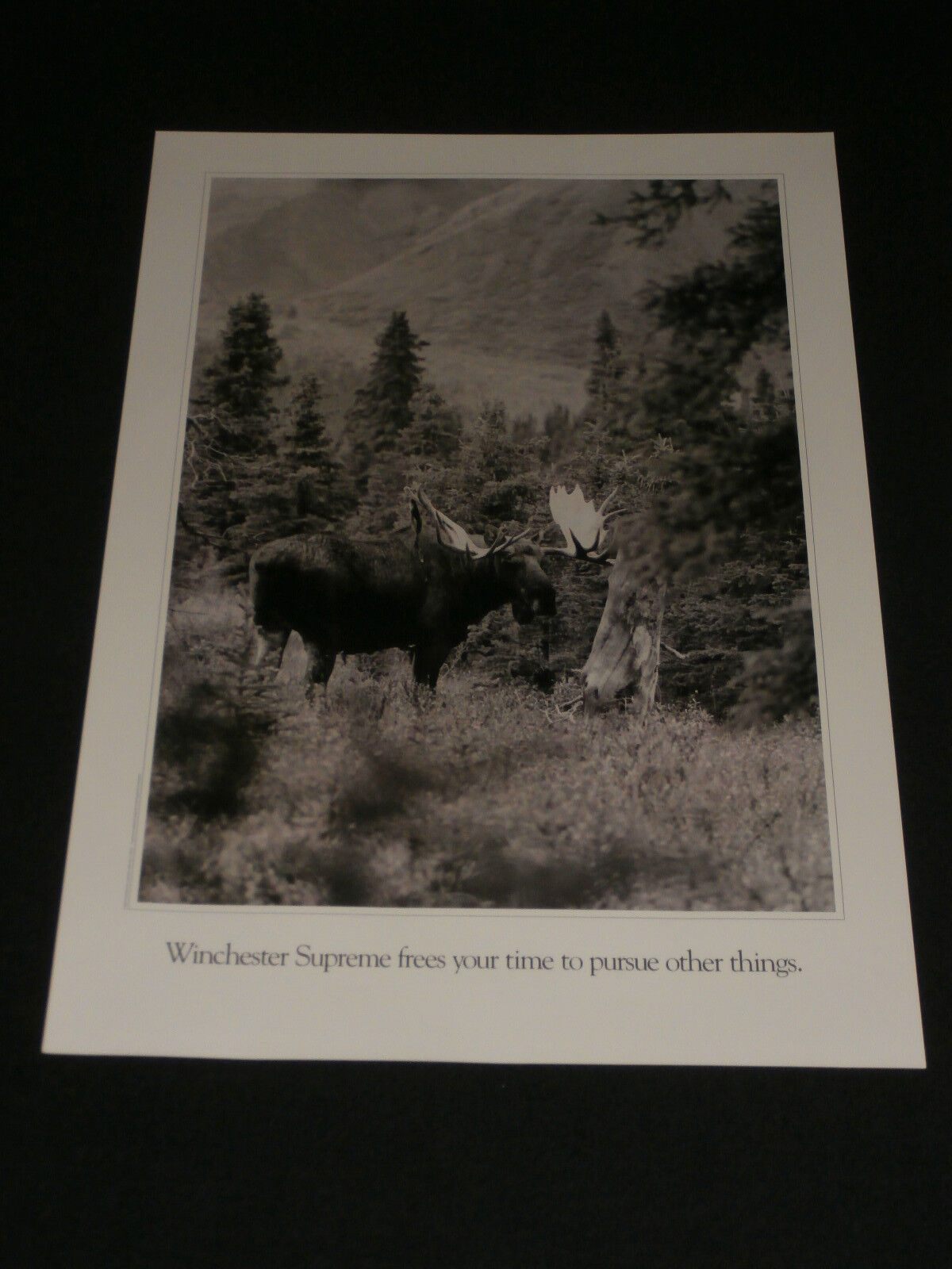 1988 Vintage Winchester Supreme Black & White Advertising Poster Moose Hunting