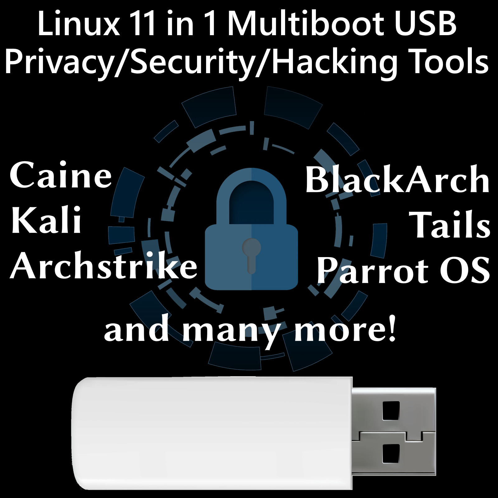 Linux 11 in 1 Boot Drive Operating Systems OS Security Privacy Kali Tails Arch