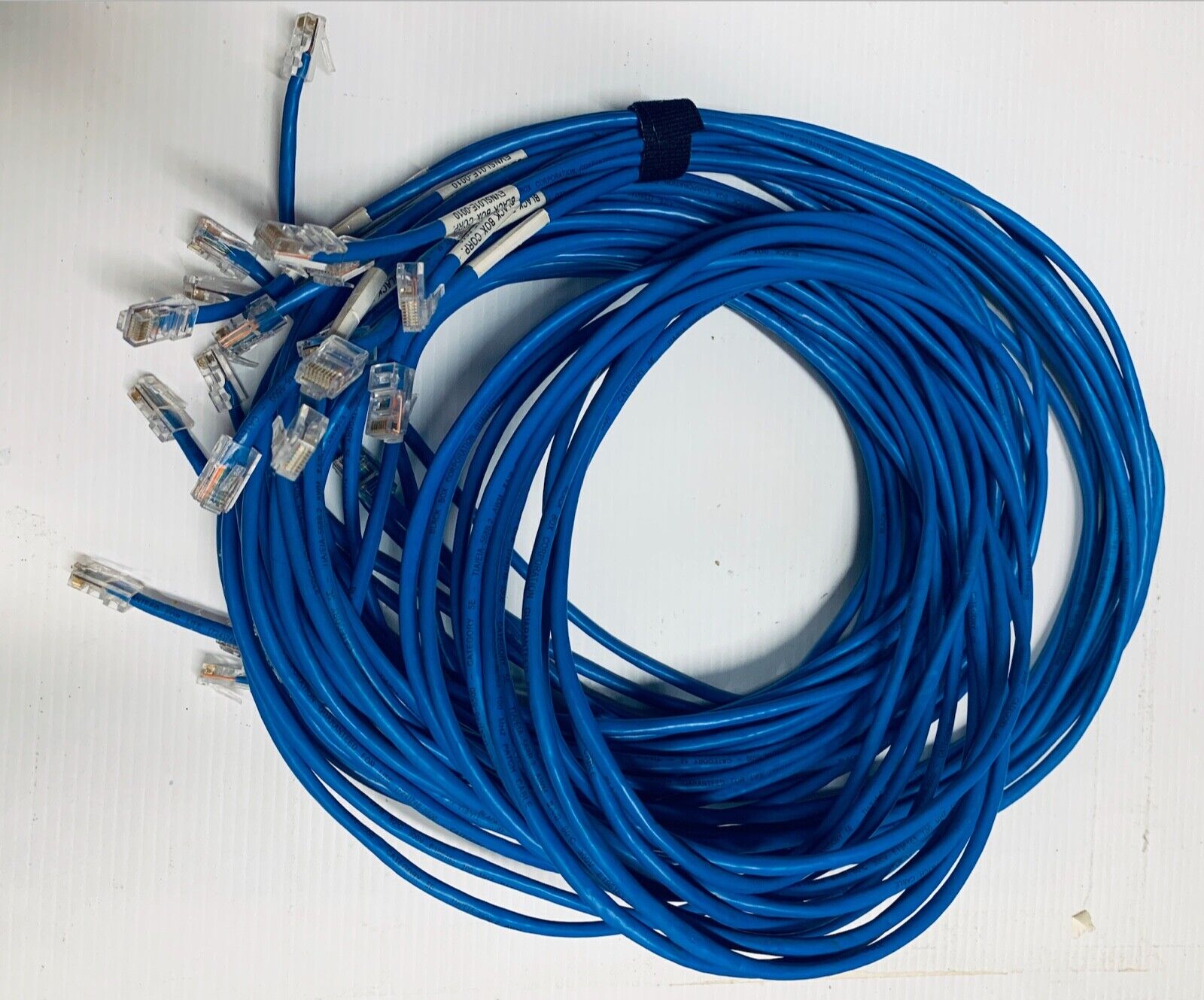 CAT5e Ethernet Black Box Blue Color LAN Cable 10FT. Discounts for Bulk Purchase
