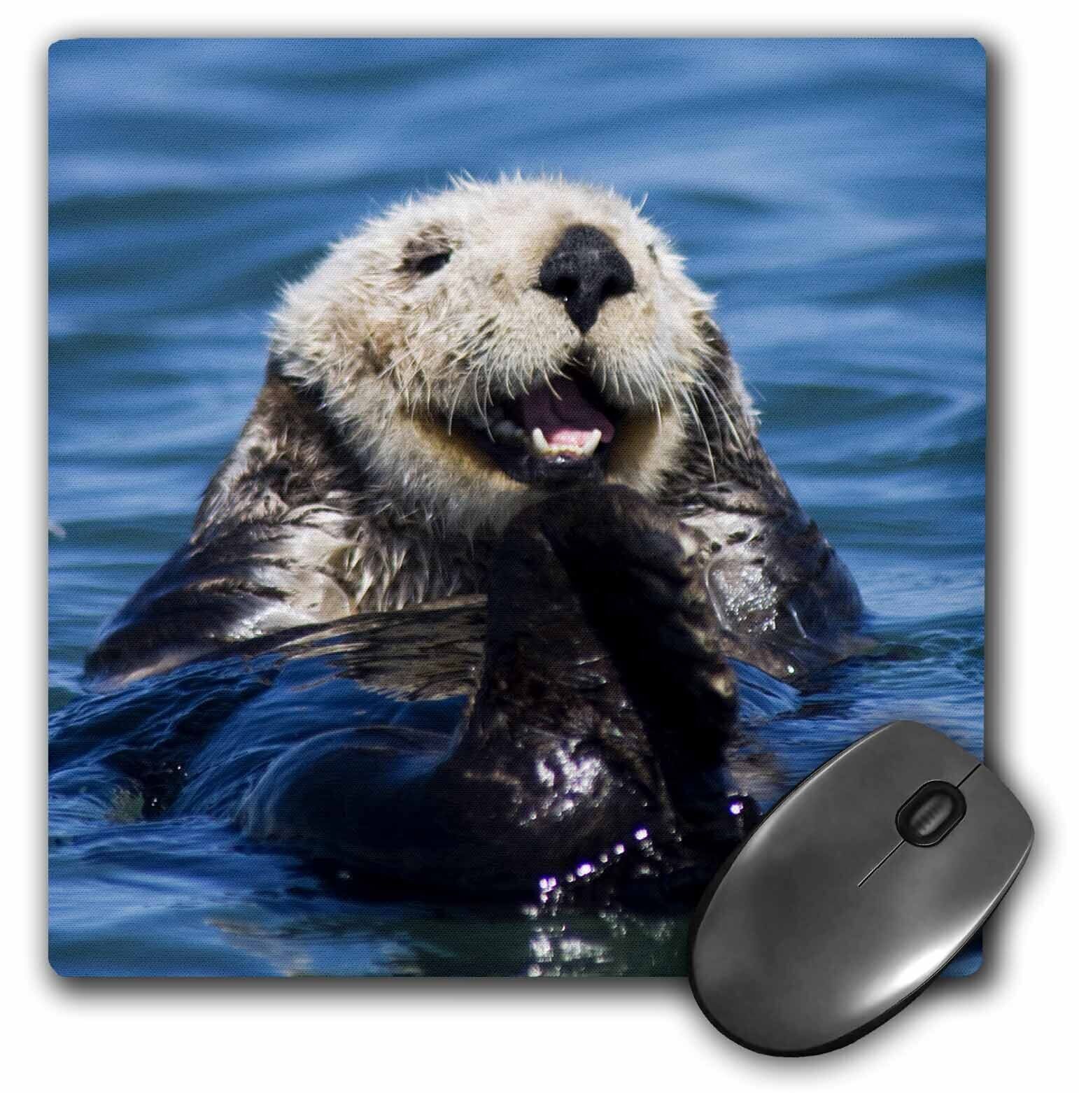 3dRose California Sea Otter, Moss Landing, California - US05 JGS0198 - Jim Golds