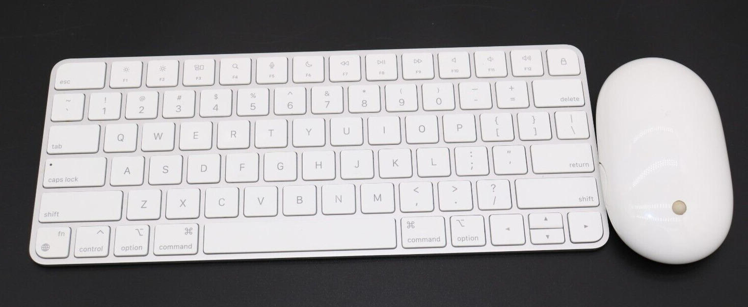 Apple Magic Keyboard Silver A2450 Bluetooth Wireless with Apple A1197 Mouse