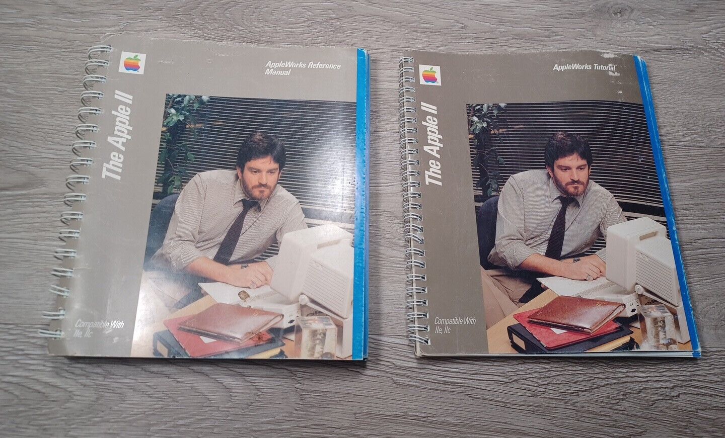 The Apple II AppleWorks Reference & Tutorial Manual Vintage