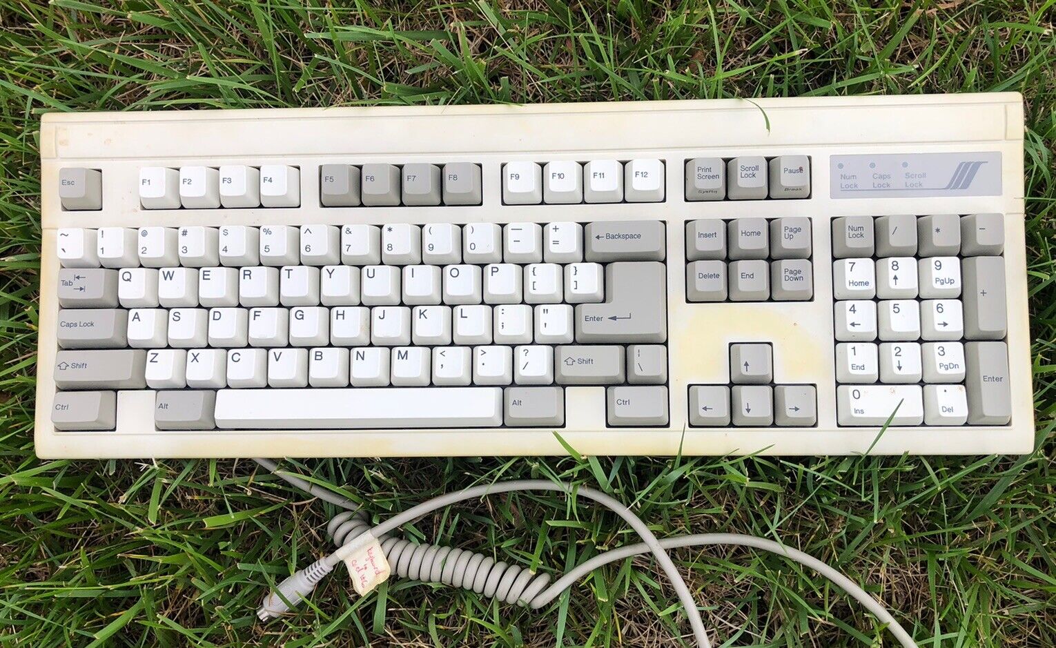 Vintage 90s Mechanical Clicky Keyboard 6 Prong Dell Apple KLH Computers