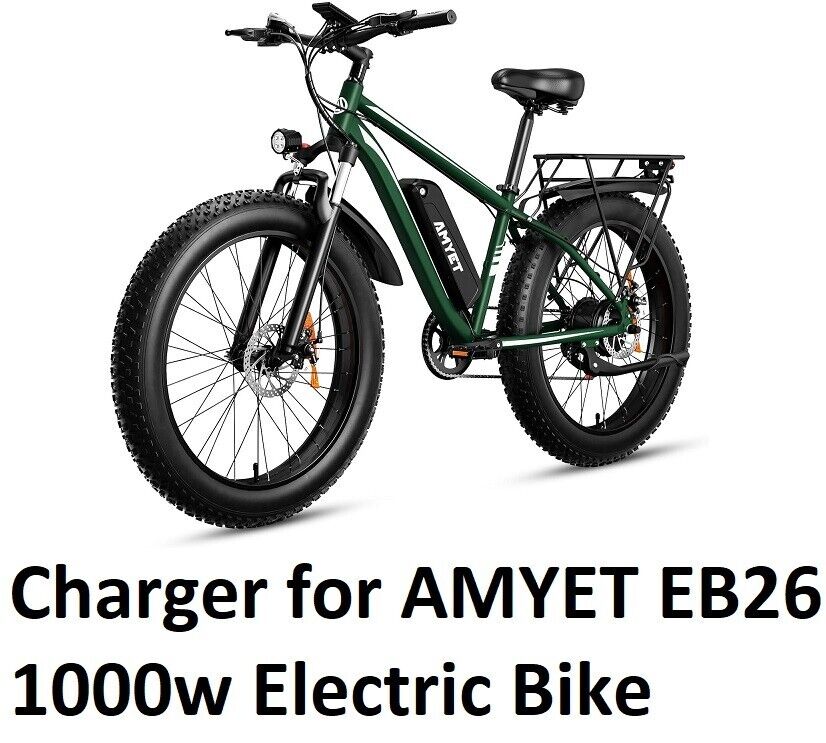 🔥battery Charger power supply  For 1000w AMYET EB26 Electric Bike 3A