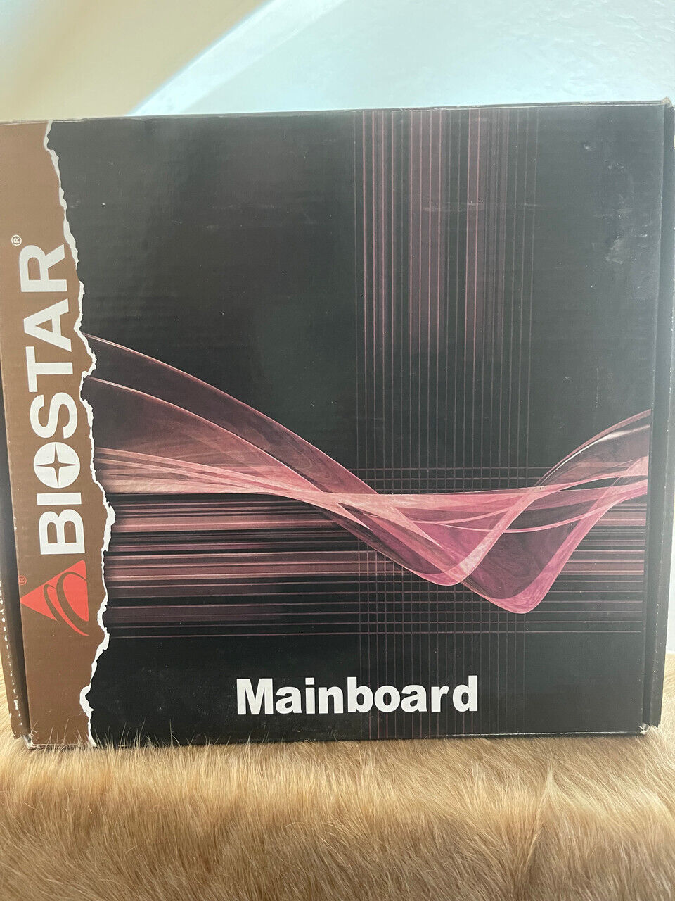 Biostar Mainboard | New in Open Box