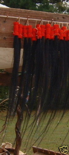 Horse Hair 