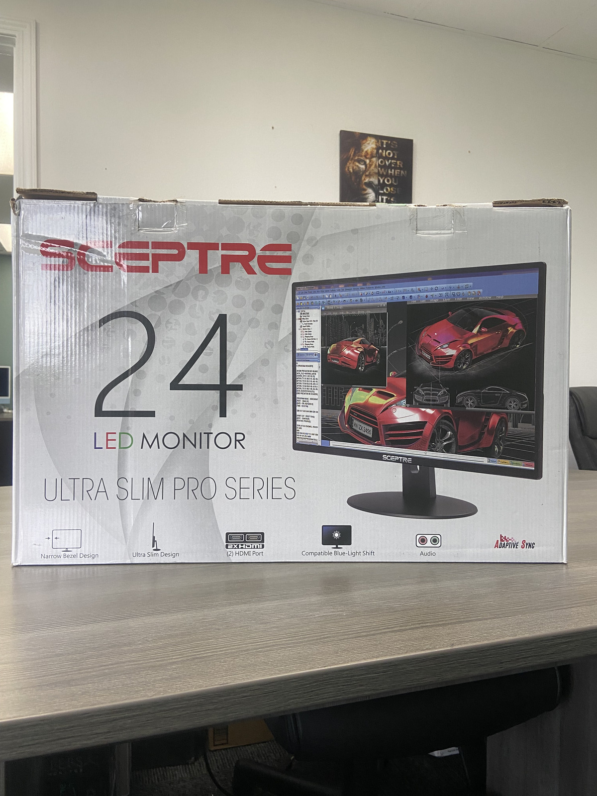 NEW Sceptre E248W-19203RT LED Monitor Ultra Slim Pro Series