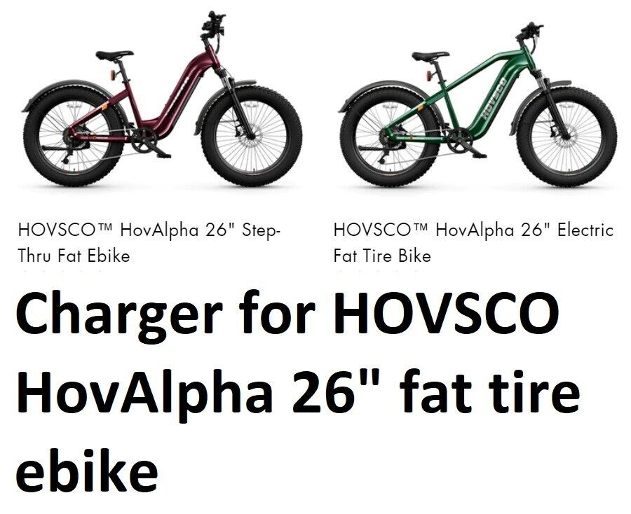 🔥  battery Charger for HOVSC HovAlpha 26\