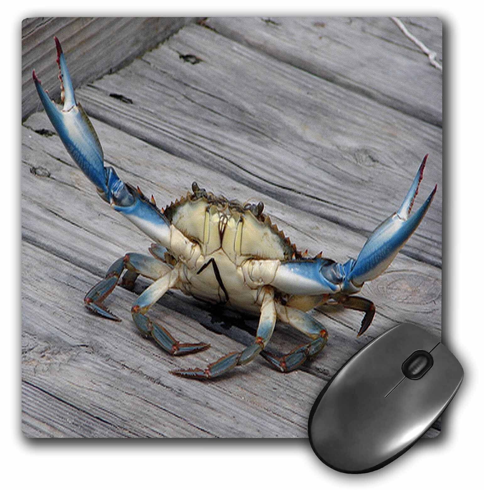 3dRose Image of Blue Crab - marine, creature, animal, wildlife, ocean, invertebr