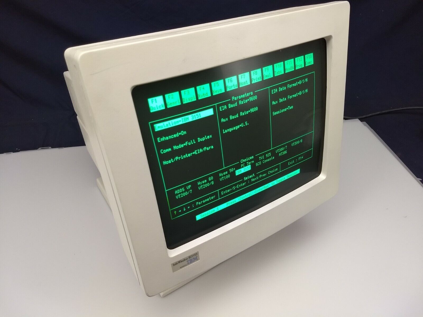 IBM INFOWINDOW II 3153 terminal display with new  keyboard