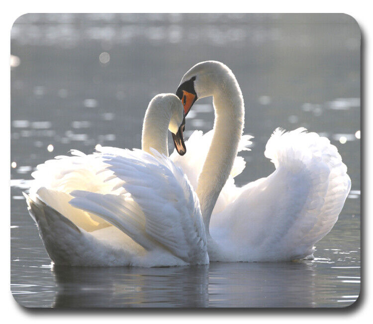 Pair of Beautiful Swans ~ Mousepad / PC Mouse Pad ~ Gifts Water Birds Outdoors