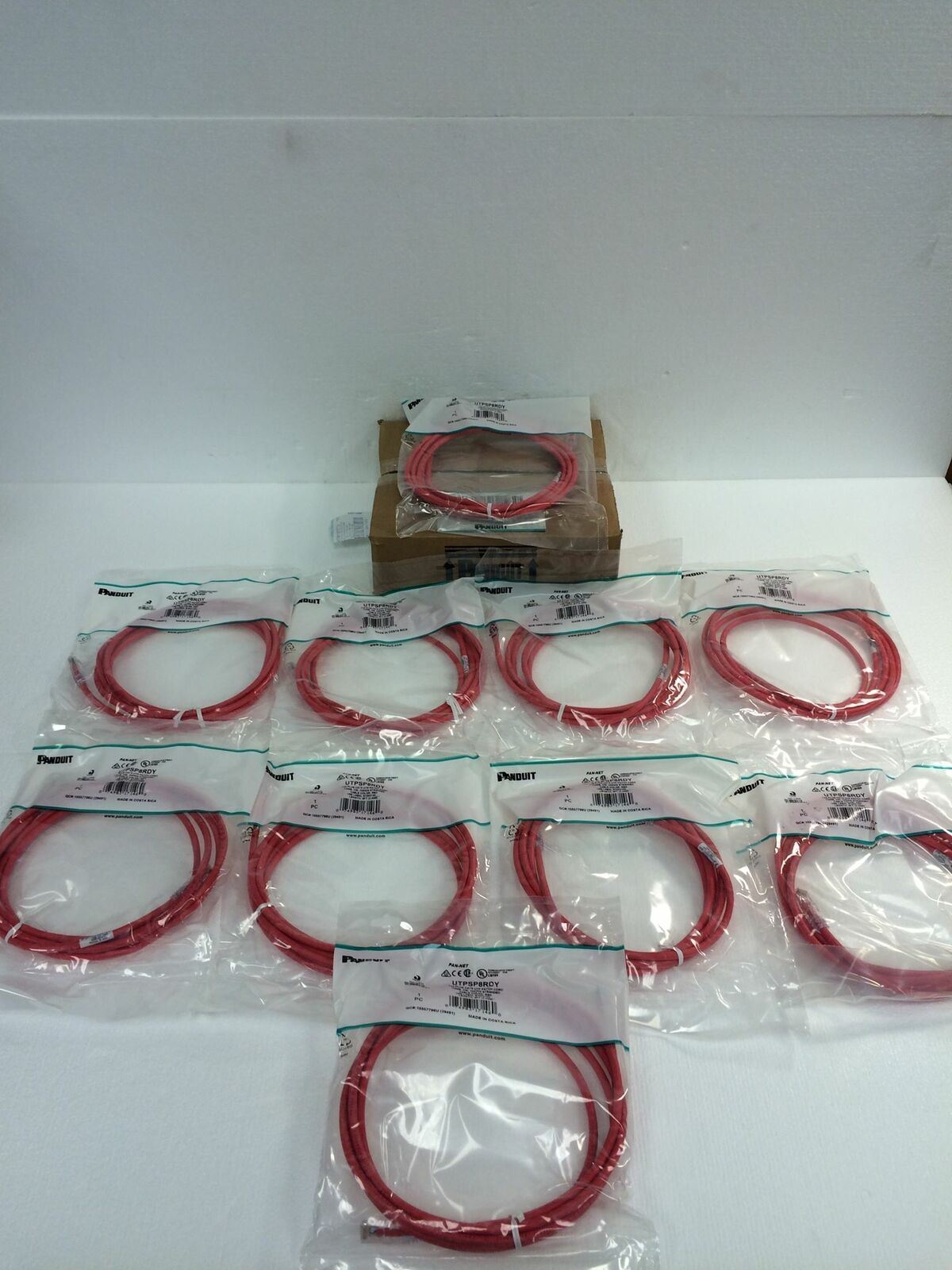 One Box of 10 NEW Panduit CAT-6 Patch Red Cable 8ft UTPSP8RDY 