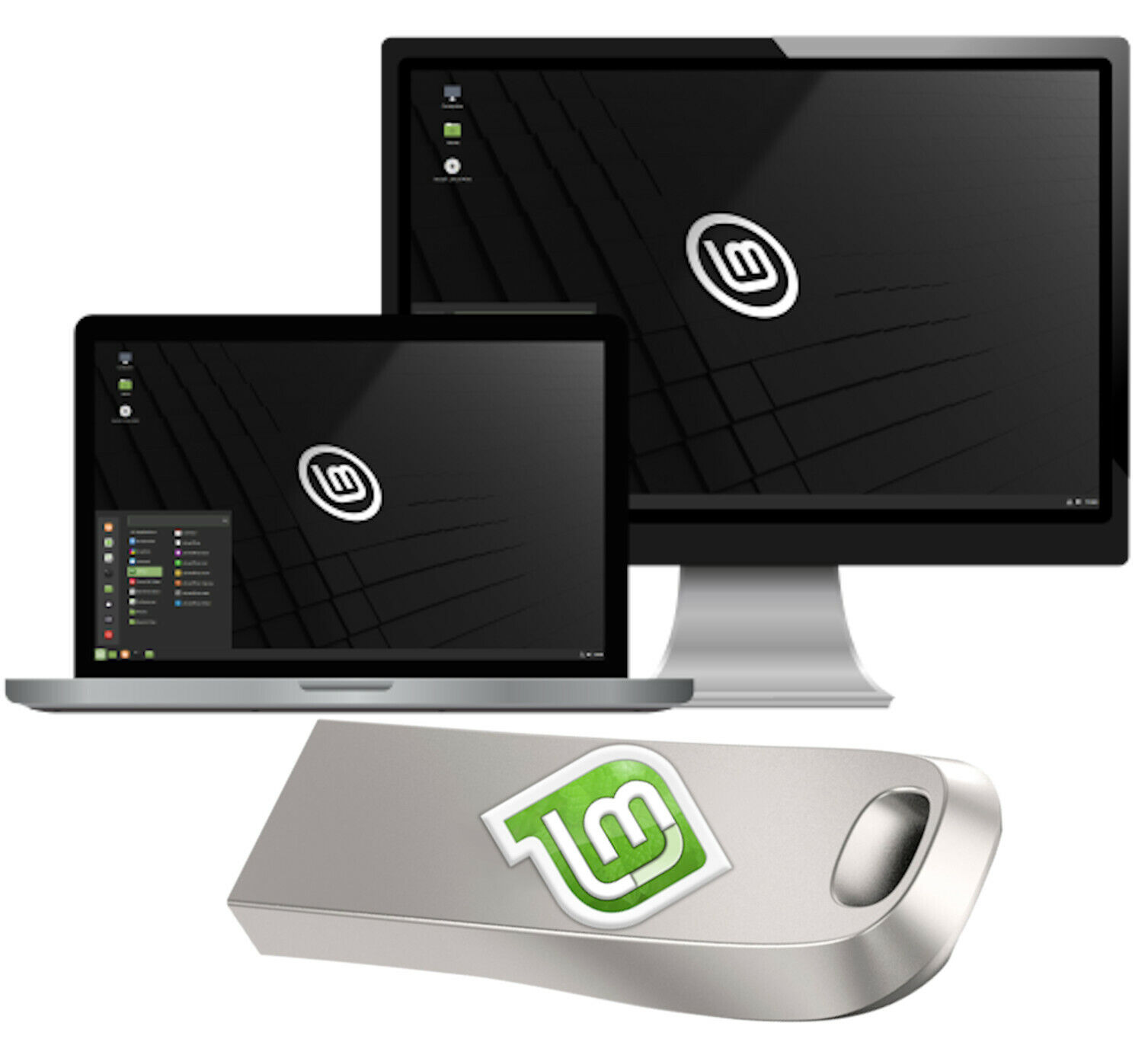 Linux Mint  21.1 All In One Bootable Installable DVD or USB see Video