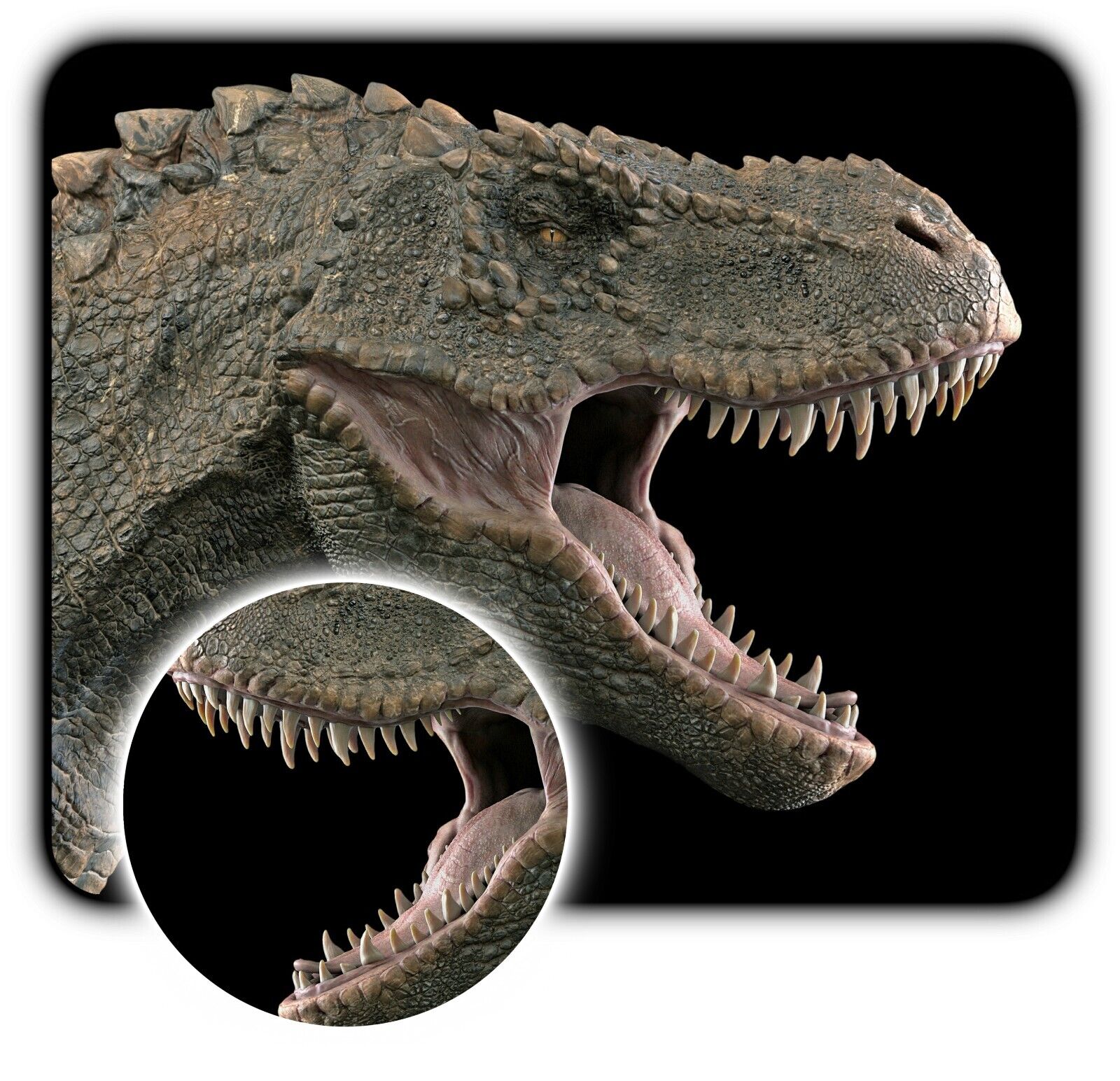 Dinosaur Head T-Rex - Mouse Pad + Coaster - 1/4\