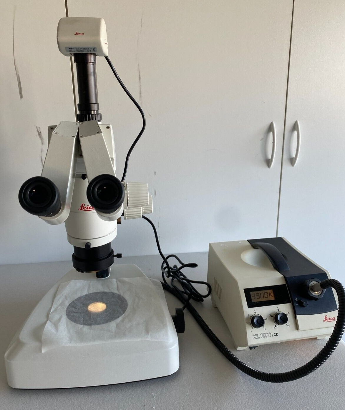 Leica  MZ12.5   Zoom Stereo Microscope