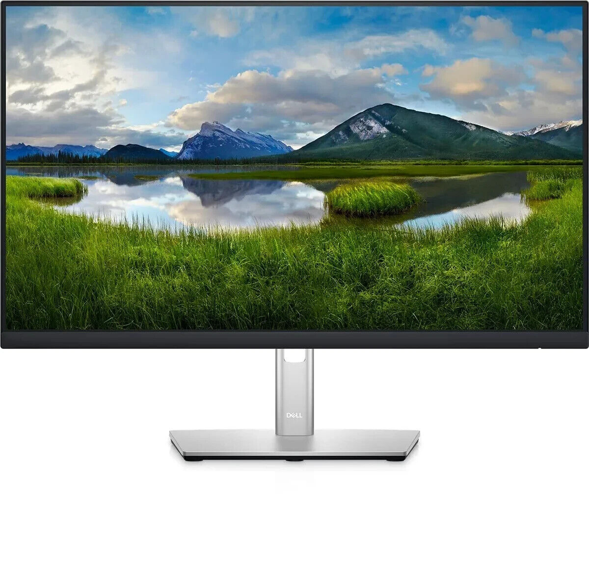 P2422H Full HD 1080p IPS Technology | Stand Included