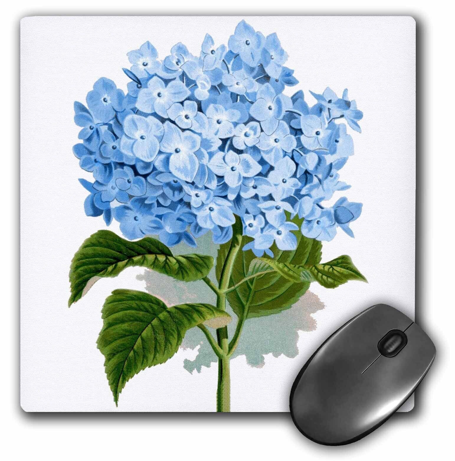 3dRose Blue hydrangea flowers vintage art - floral drawing - summery - flowery s