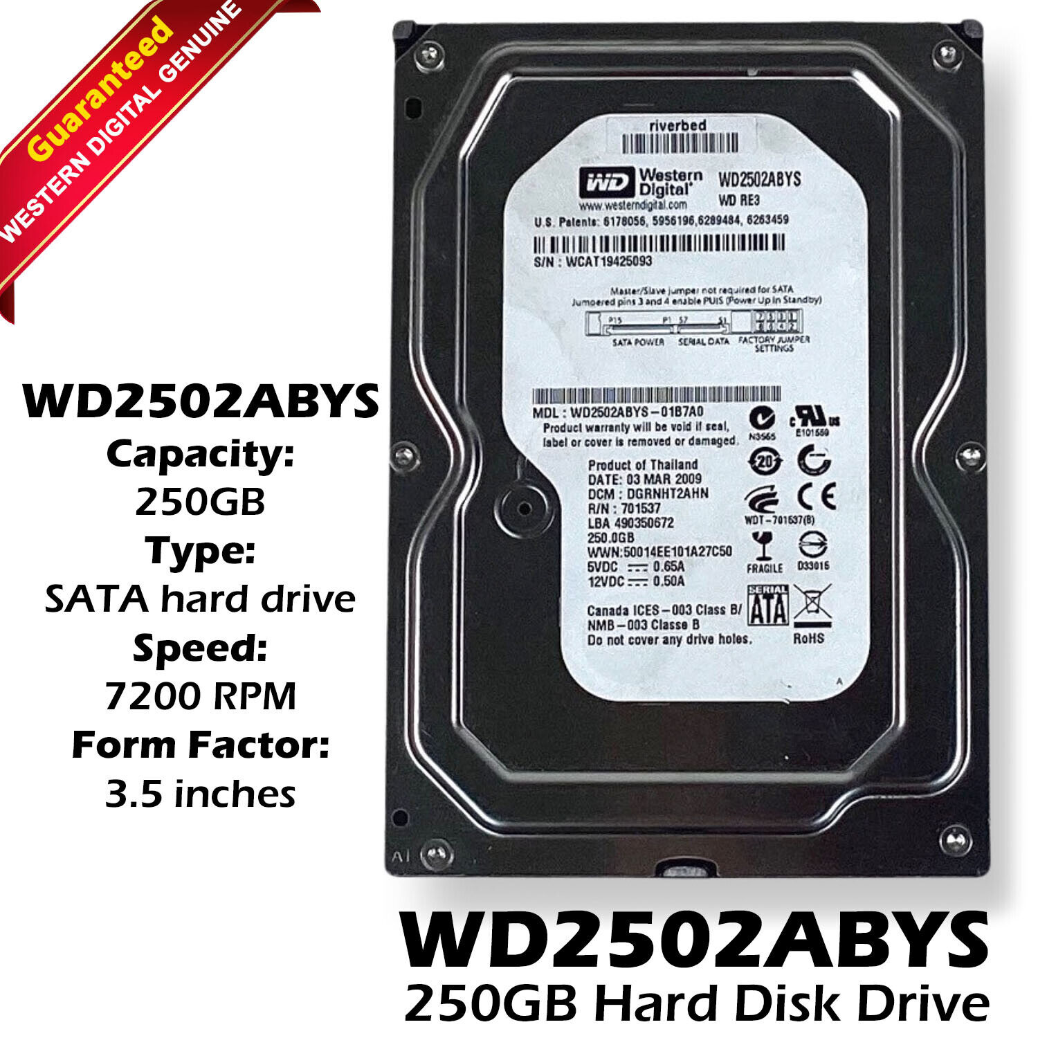 Western Digital 250GB 3.5\