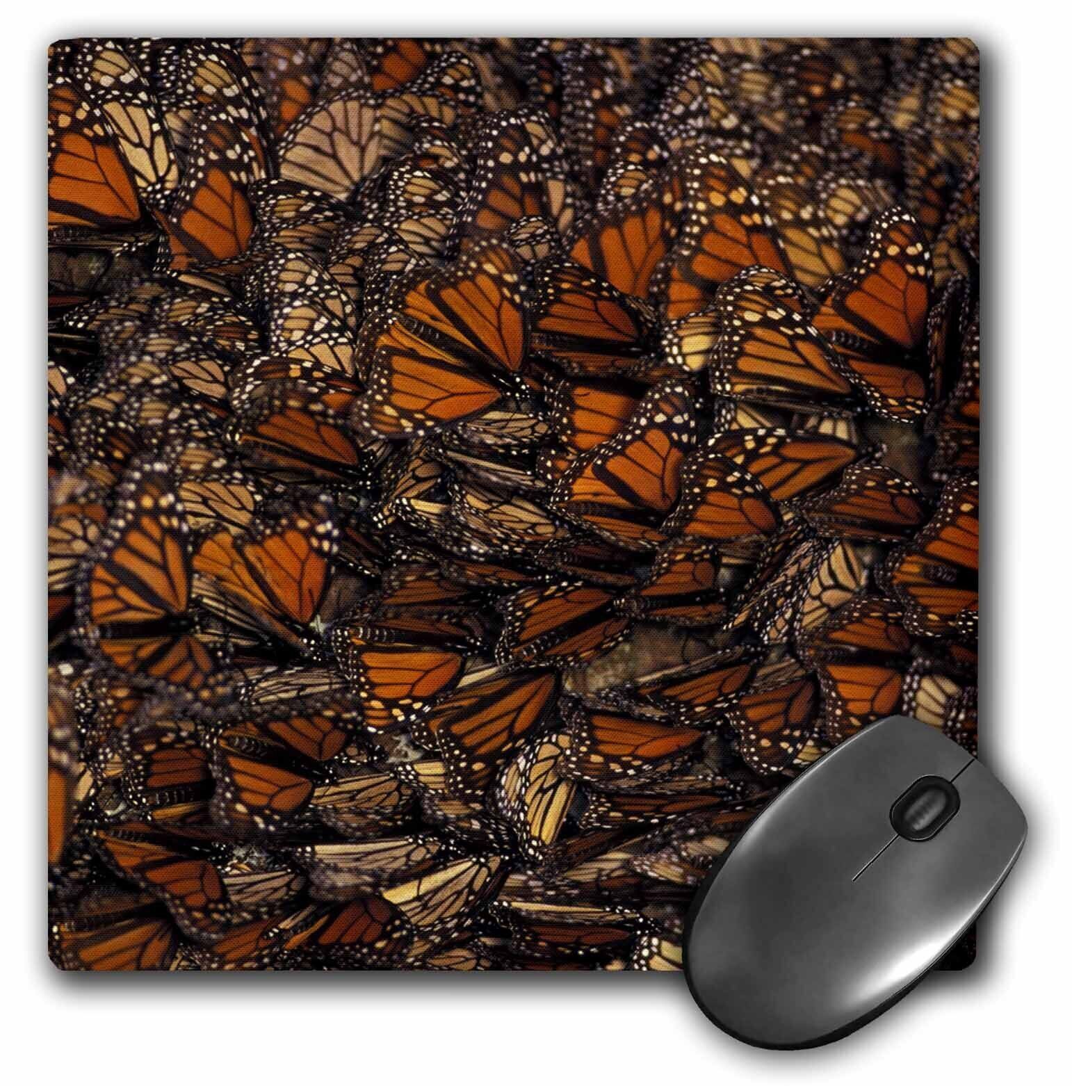 3dRose Mexico. Monarch Butterfly (Danaus plexippus) - SA13 GJE0047 - Gavriel Jec
