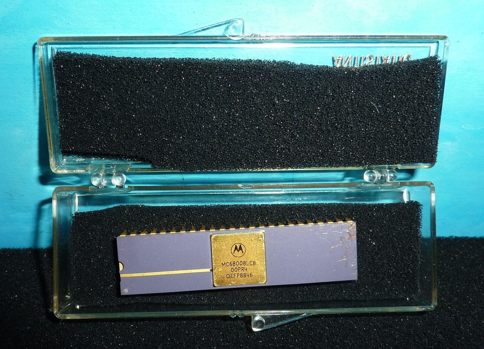 Motorola MC68008LC8 Purple Ceramic Gold DIP Collectible Microprocessor '