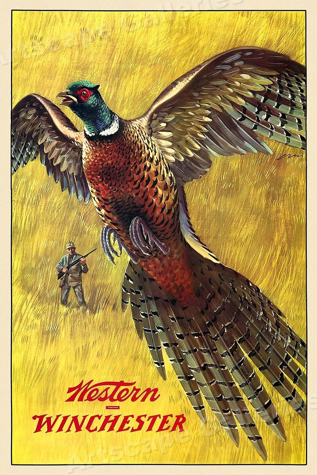 1950s Western Winchester Pheasant Hunting Vintage Style Poster - 16x24