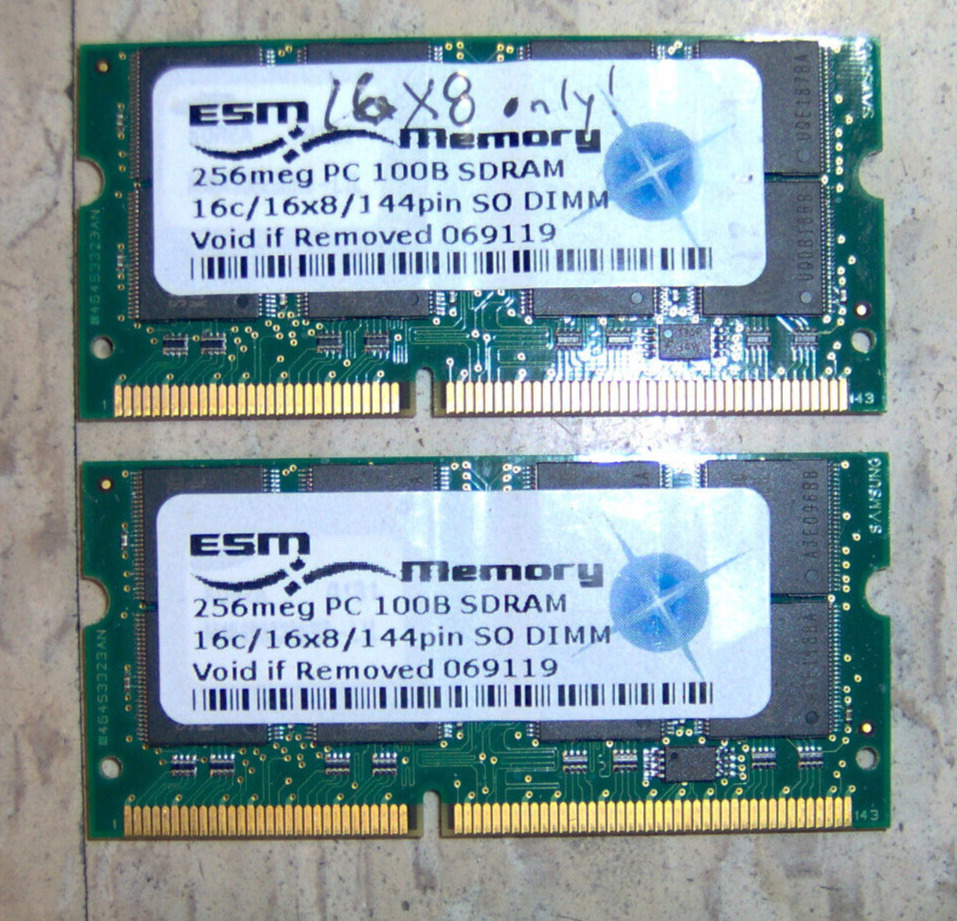 2Chips 256 meg mb pc 100 SDRAM 16c/16x8/144 pin SO DIMM 069118 ESM Laptop Memory
