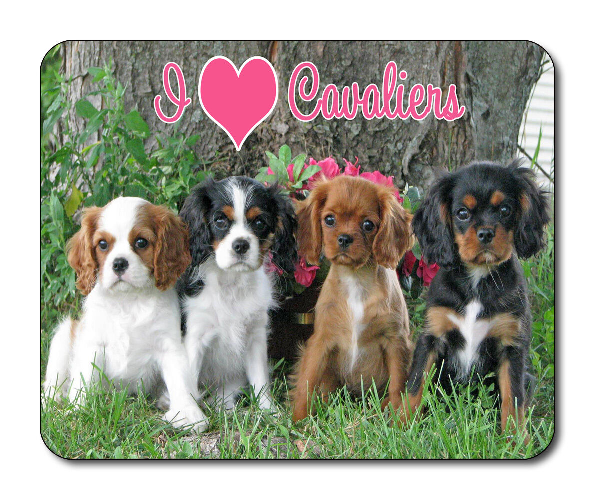 Cavalier King Charles Spaniel Dog Mouse Mat - I Love Cavaliers