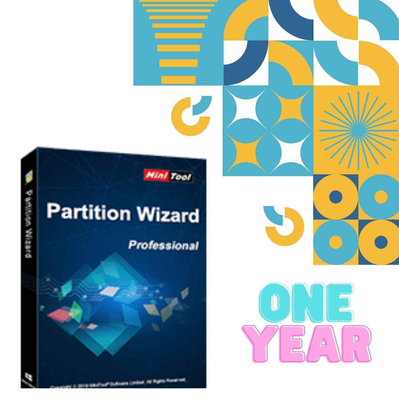 MiniTool Partition Wizard Pro one year Subscription  DVD