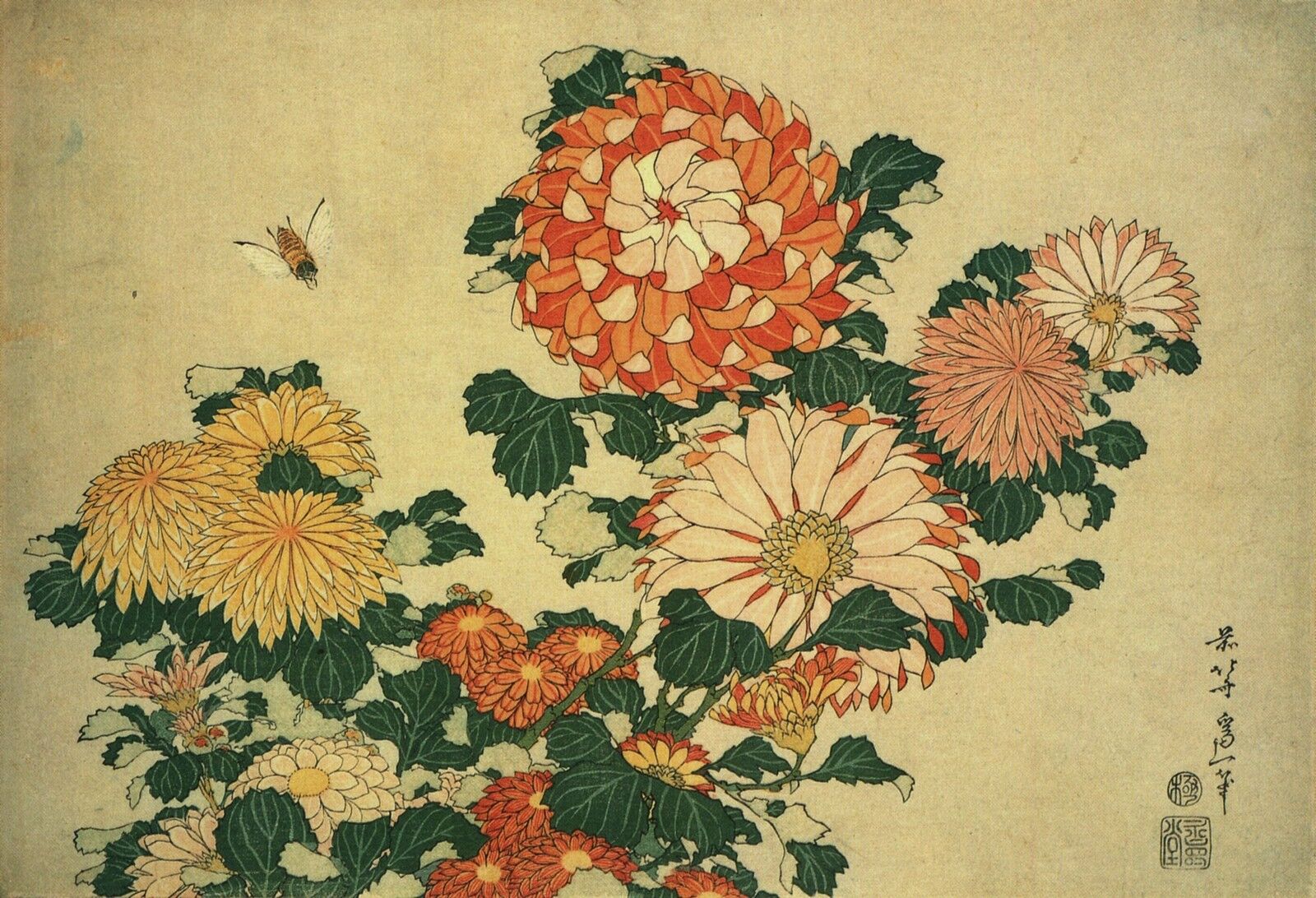 Japanese Woodblock Chrysanthemum and Bee Flower Print Poster by Hokusai NEW