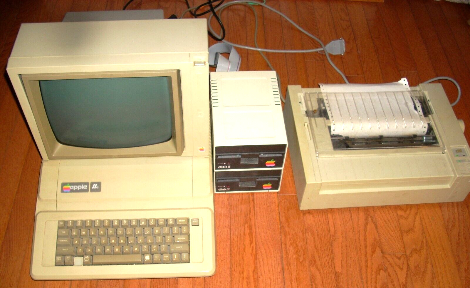 APPLE IIe 2e computer ,2 x  disk ,  printer , monitor , software , manuals