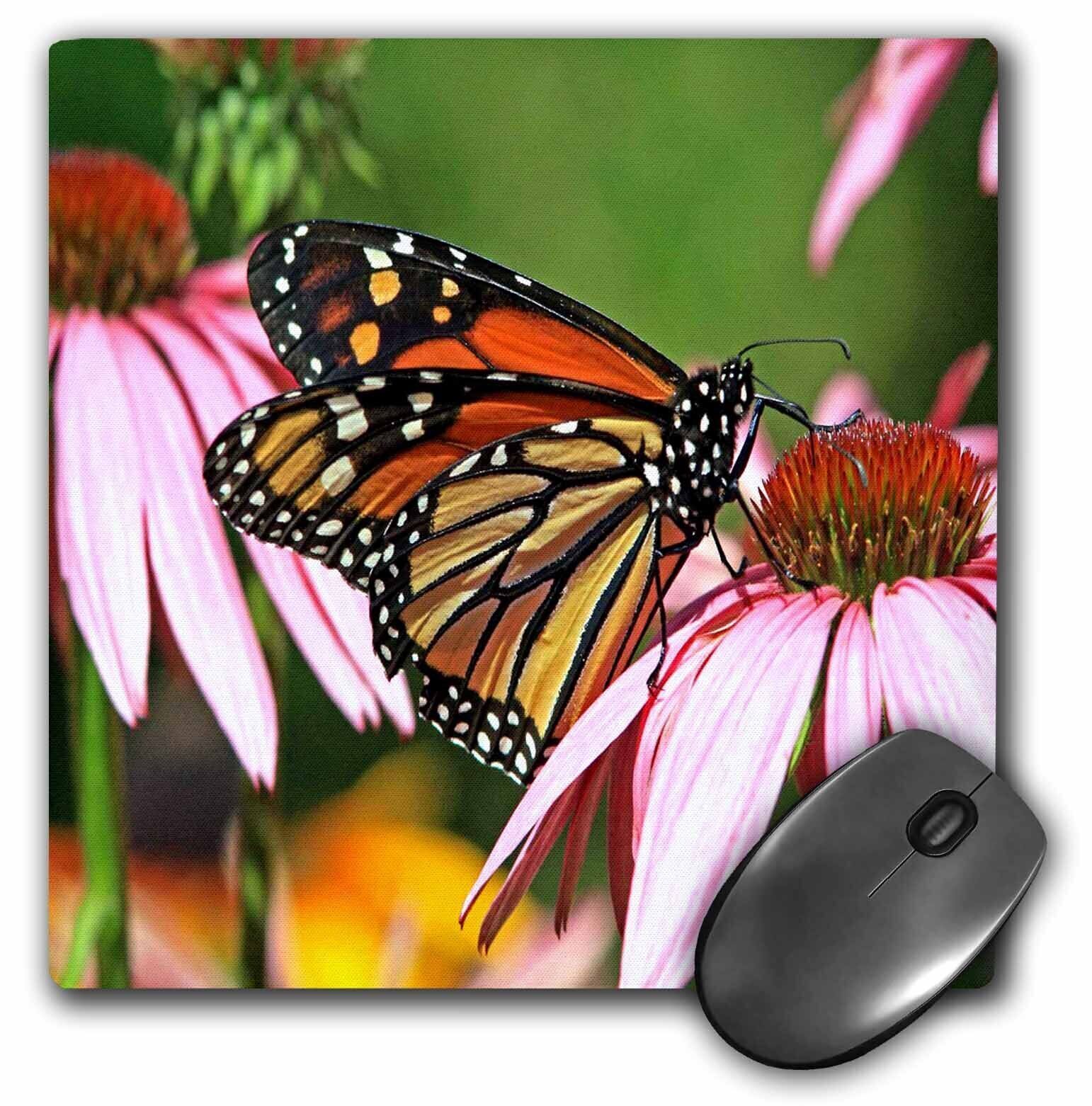 3dRose Monarch Butterflies MousePad