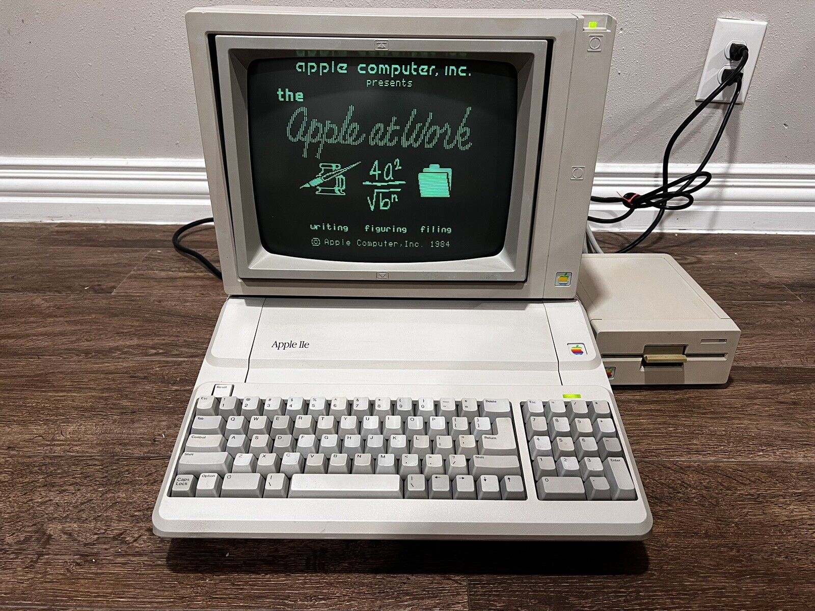 Apple IIe Platinum Computer 5.25 Floppy Drive A9M0107 Monochrome Monitor A2M6017