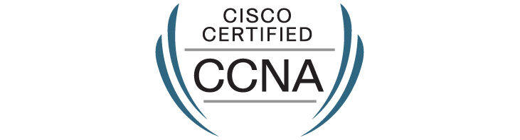 Cisco CCENT CCNA CCNP CCIE Lab WS-C2950-24 Switch & 1841 Router(15.1 IOS Image)