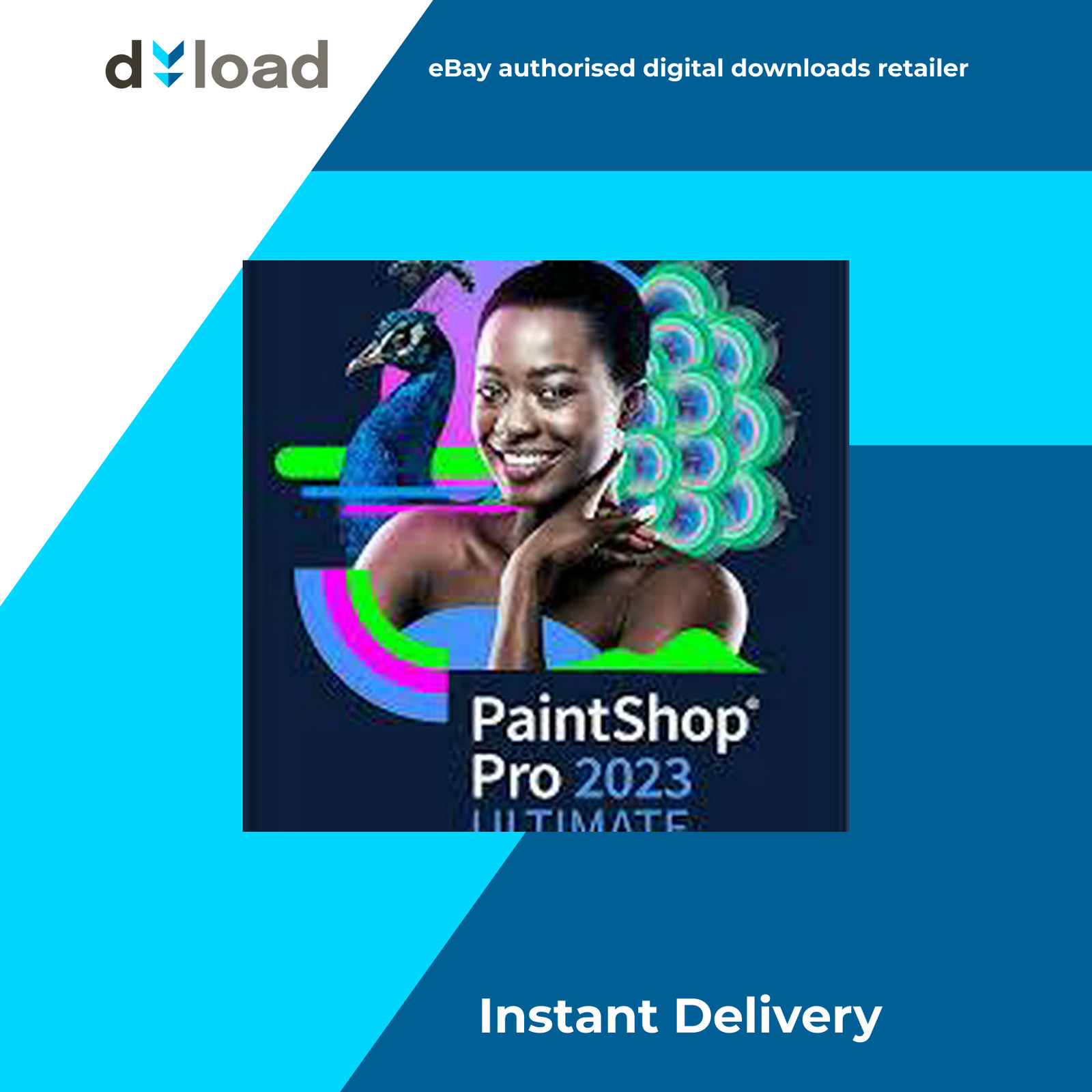 Paintshop Pro 2023 - PC - COREL