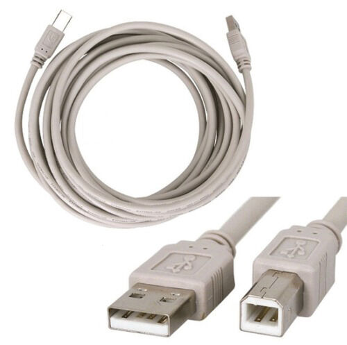 BEIGE USB Printer A Male to B Male A-B Hi-Speed USB2.0 USB Scanner Printer Cable