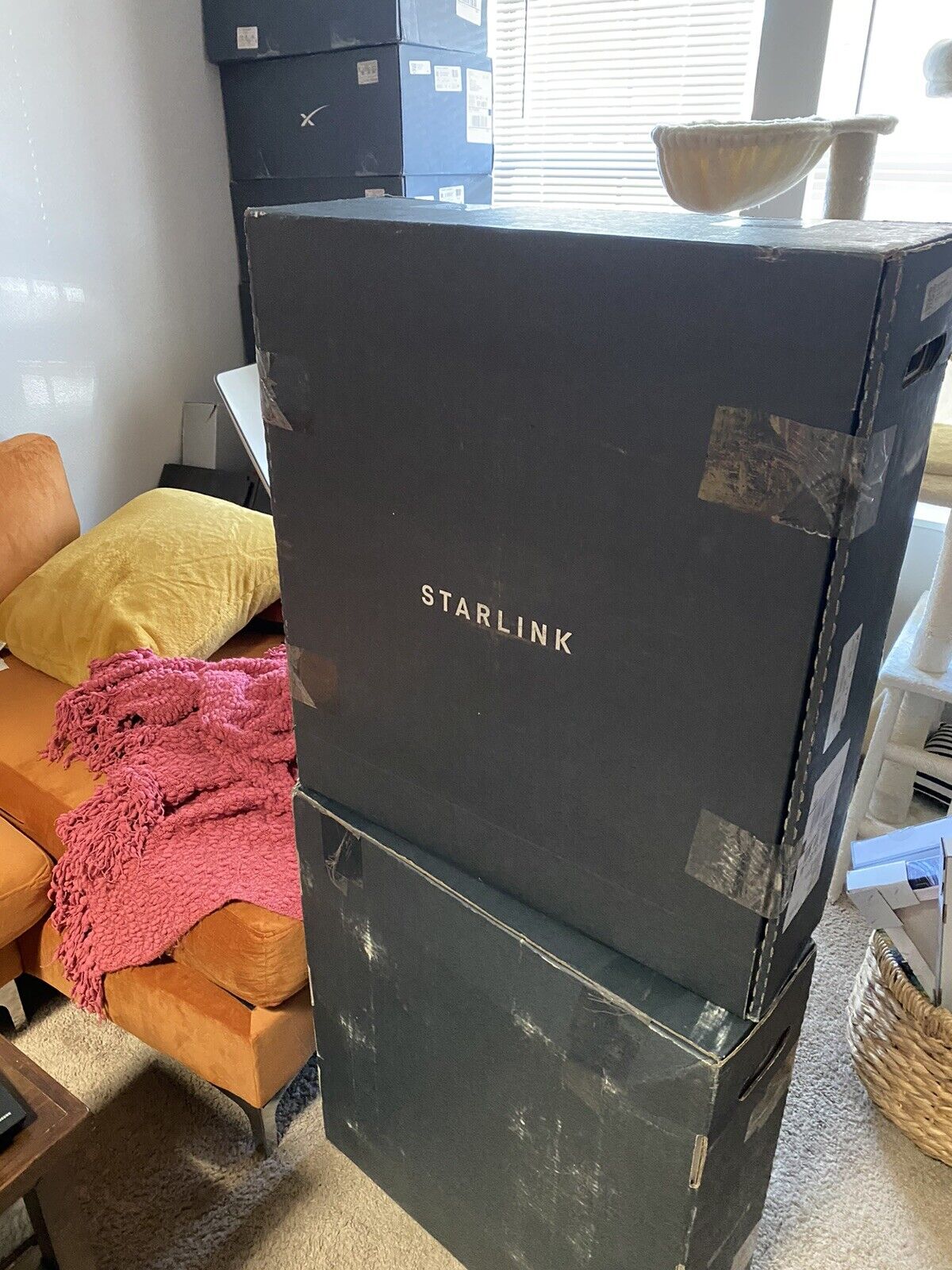 Starlink Flat High Performance KIT ~ Ready For Account Transfer