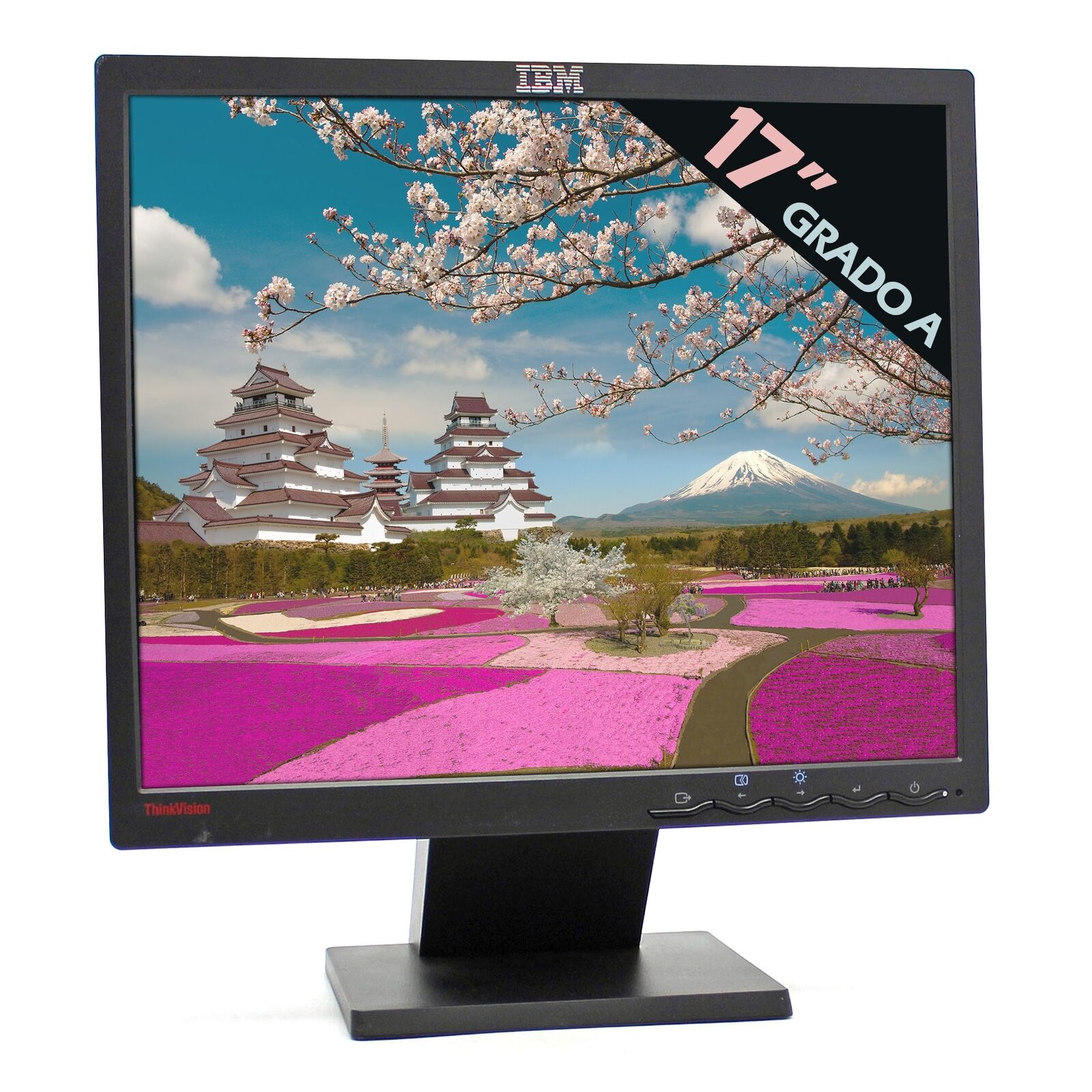 IBM L171 Screen Monitor LCD Display 17 \