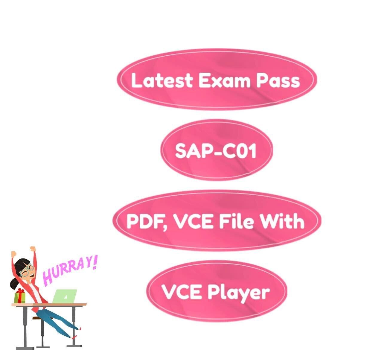 SAP-C01 Exam AWS Certified Solutions Architect Professional VCE,PDF 880  2024