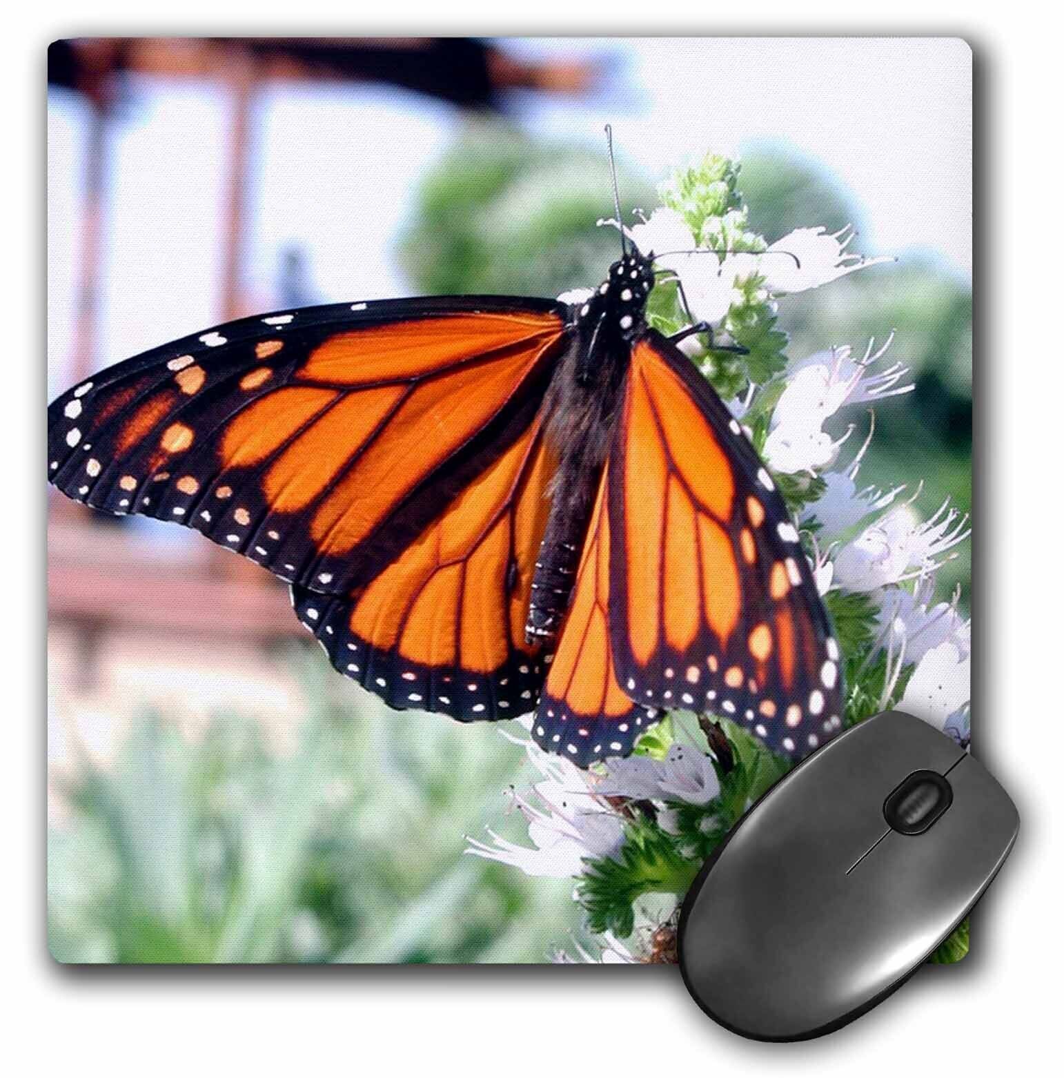 3dRose Monarch Butterfly MousePad