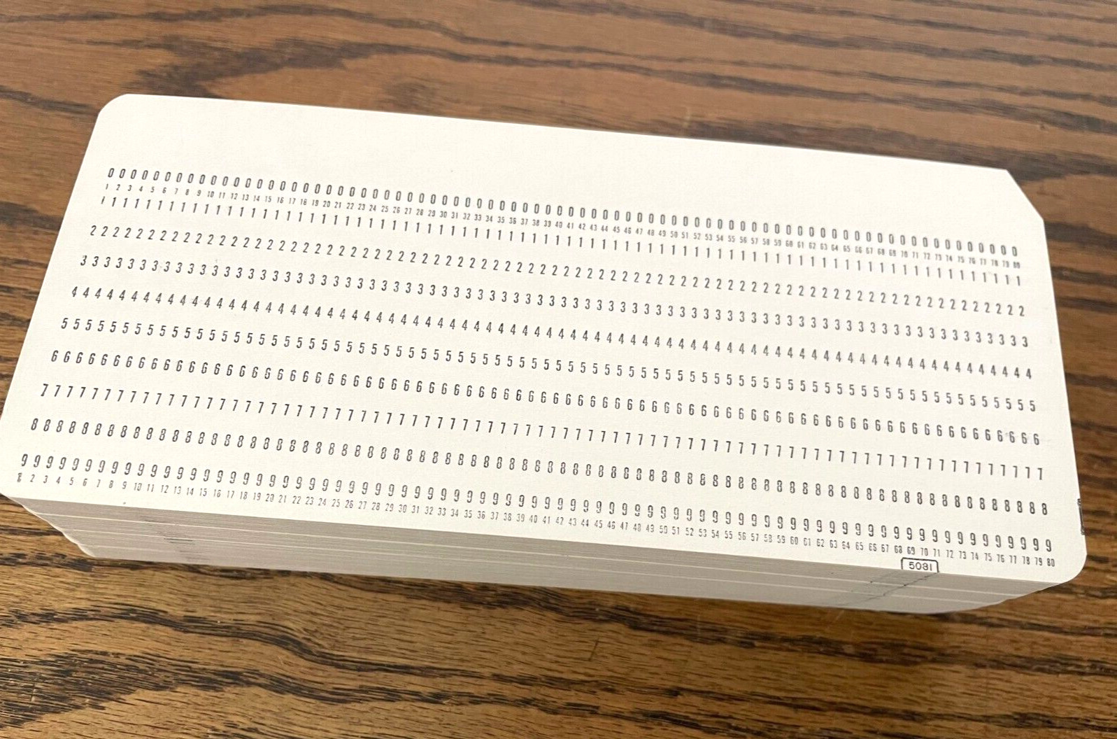 200 Vintage Computer IBM 5081 Data Processing Punch Cards - Ships the Same Day