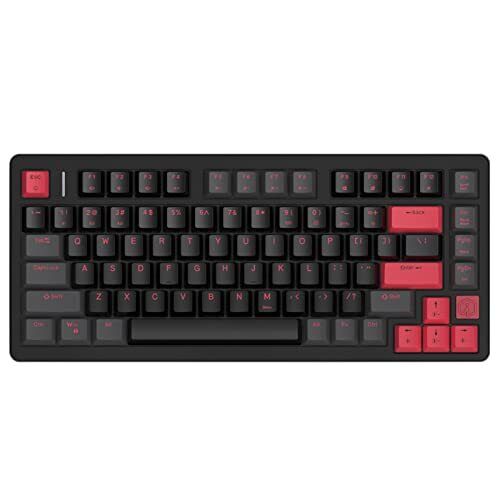  FE75Pro Hot Swappable Mechanical Keyboard, Wireless TKL 75% RGB Black Red