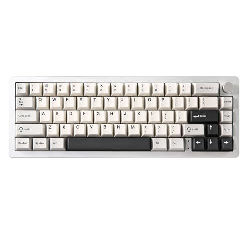 AL66 Wireless Mechanical Keyboard,65% Knob Control Aluminum Gaming Keyboard B...