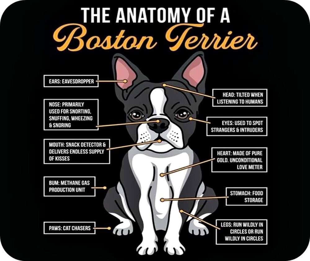 The Anatomy of a Boston Terrier Funny Computer / Laptop Mouse Pad